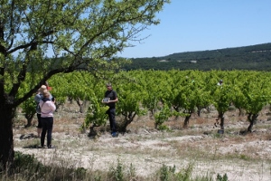 Location vignes dans la Vallée du Rhône, Mondragon