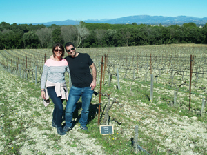Parrainage de ceps de vigne biodynamique dans le Rhône
