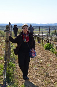 Location pieds de vigne, Languedoc, France