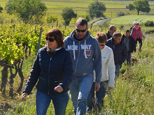 Visite de domaine viticole dans le Languedoc et dégustation de vin
