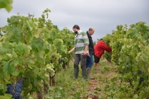 Cadeau autour du vin dans le Languedoc