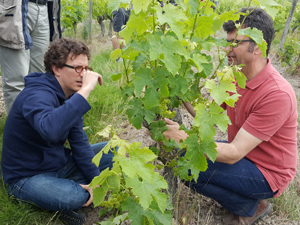 Box oenologie pour amateur de vin dans le Val de Loire