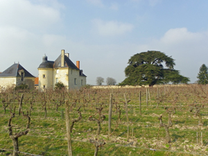 Cadeau autour du vin dans le Val de Loire