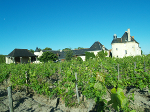 Parrainage vigne bio en Val de Loire