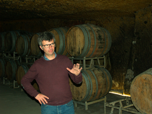 Visite de la cave pour découvrir l'élevage de vin en barrique