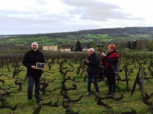 Adoption de vignes à Santenay en coffret cadeau vin