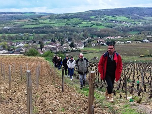 Visite du vignoble bourguignon à Santenay en cadeau vin