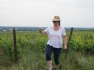 Partager un moment convivial avec un viticulteur bio en Alsace