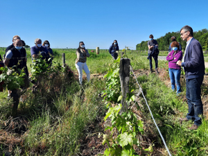 Coffret cadeau pour participer au travail de la vigne dans le Val de Loire