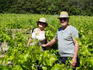 Parrainage de vignes en biodynamie en Vallée du Rhône