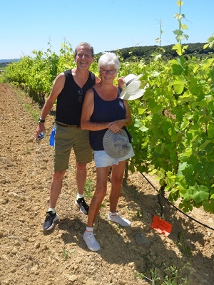 Coffret cadeau parrainage vignes bio Languedoc