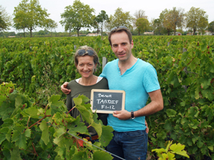Adoption de ceps de vignes à Bordeaux