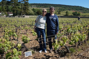 Adoption pieds de vigne Bourgogne