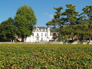 Parainnage de vignes en Bourgogne, experience vin France