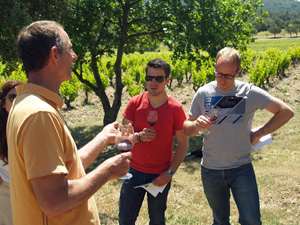Coffret cadeau dégustation de vin au domaine, Vaucluse, Côtes du Rhône