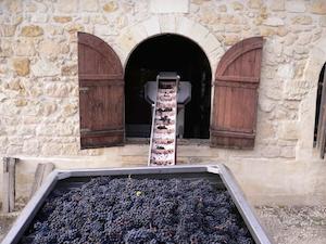 vendanges Bordeaux Chai Château Beau Rivage