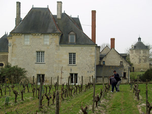 Coffret cadeau amateur de vin. Location de pieds de vigne dans le Val de Loire