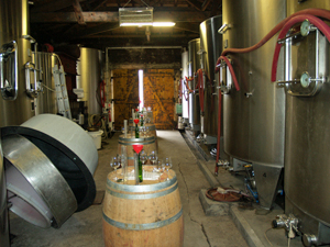 La Journée Vinification au Château Coutet à Saint-Emilion pour apprendre comment le vin est fait