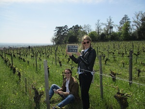 Parrainage de vignes bio à Bordeaux