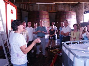 Acheminement du raisin, chai de vinification et cave. Stage oenologique au domaine.