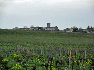 Une Journée Découverte au Château Coutet à Saint-Emilion pour découvrir le métier de vigneron