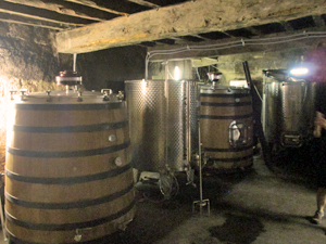 La découverte de la phase de fermentation de vin 