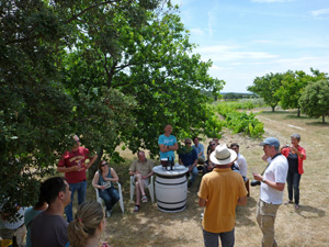 Dégustation de vins lors d'un stage oenologique dans la Vallée du Rhône