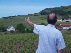 Terroir de vignes en Bourgogne