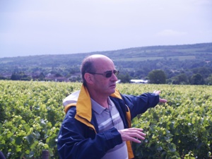 Terroir de Bourgogne
