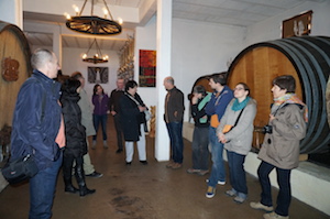 Visite de cave et vinification des vins d'Alsace