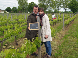 Coffret cadeau adoption pied de vigne à Bordeaux