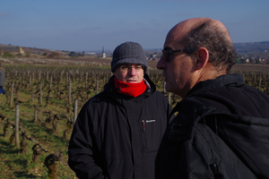 Coffret cadeau adoption pied de vigne en Bourgogne.