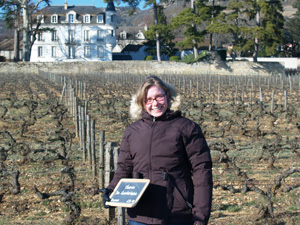 Coffret cadeau vignes. Location de pieds de vigne en Bourgogne.