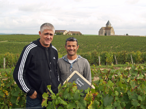 Coffret cadeau parrainage de ceps de vigne en Bourgogne