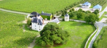 Adoption de pieds de vigne maintenant disponible dans le Val de Loire !