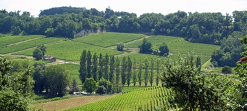 Expérience Vin à Bordeaux