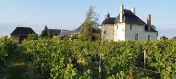 Expérience Vin dans le Val de Loire