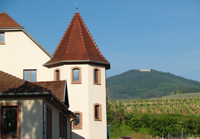 Offrez des pieds de vigne comme cadeau de naissance aux jeunes parents avec des bouteilles de vin personnalisées au non du nouveau néigne bioen Alsace au Domaine Stentz-Buecher, Wettolsheim, cadeau d'anniversaire.