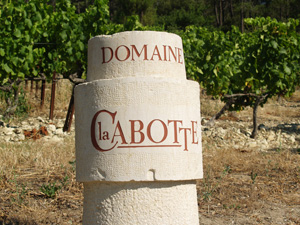 location pied de vigne dans les Côtes du Rhône au Domaine la Cabotte