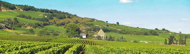 Découvrez les produits du terroir de la Bourgogne