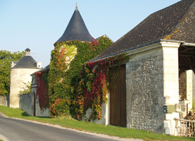 Stage d'oenologie et location de vignes en Val de Loire