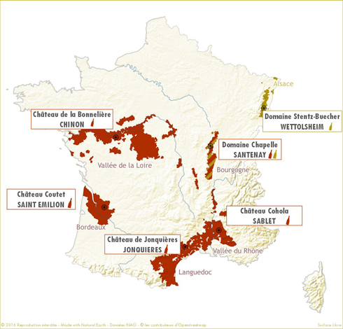 Parrainage et location pieds de vigne en France, Bordeaux, Bourgogne, Languedoc-Roussillon, Val de Loire, Côtes du Rhône, Alsace
