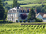 Location pieds de vigne Bourgogne.  Parrainer des vignes en coffret cadeau original pour amateurs de vin.
