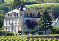 cadeau de noel vin personnalisé et vignes au Domaine Chapelle, Santenay, Bourgogne
