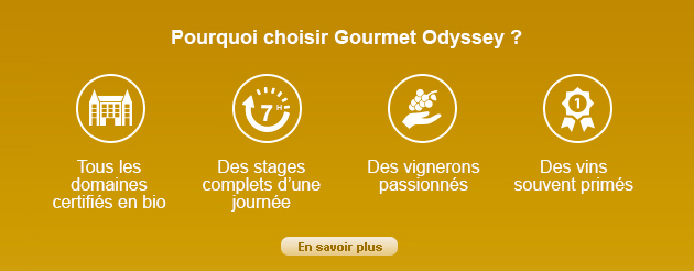 Stage d'oenologie et week end oenologique avec Gourmet Odyssey
