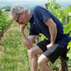 Avis 5 étolies sur l'adoption de vigne au Château Coutet