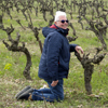 Avis 5 étolies sur l'adoption de vigne au Château de Jonquières