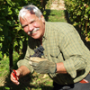 Avis 5 étolies sur l'adoption de vigne au Domaine Stentz-Buecher
