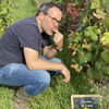 Avis 5 étolies sur l'adoption de vigne au Domaine Chapelle
