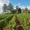 Témoignage sur l'Expérience Vin à Santenay au Domaine Chapelle
